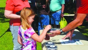 Messenger photo/Courtney Patterson A girl samples a fresh blueberry from The Berry Patch of Alabama at the Farmer’s Market on Saturday morning. The Farmer’s Market is now located off Highway 231 between Troy Bank & Trust and Bicentennial Park.
