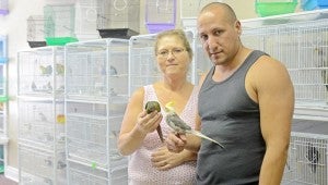 MESSENGER PHOTO/COURTNEY PATTERSON Eunice and Ricardo Rios, originally from Puerto Rico, opened Feathers of Love in Downtown Troy on Aug. 1. Feathers of Love sells birds and all items needed to care for a bird as a pet. They also offer bird grooming and boarding services. Feathers of Love is located on East Walnut Street.