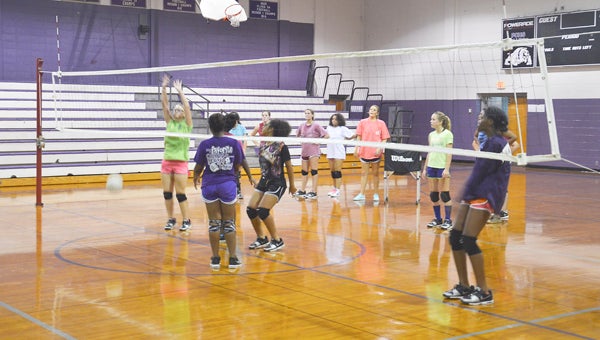 The Pike County High School Lady Bulldogs volley ball team, coached by Shea Driggers, practice Tuesday to get ready for the start of their fall season. The Lady Bulldogs will begin their season Aug. 27 in a tri-match in  Ariton. They will play Ariton and Headland.  MESSENGER PHOTO/MIKE HENSLEY