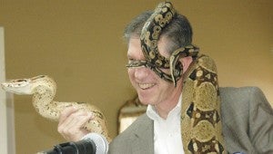 MESSENGER PHOTO/JAINE TREADWELL Troy Rotary Club President George Tarbox was relatively at ease when embodied by snakes at the Tuesday meeting of the Troy Country Club.