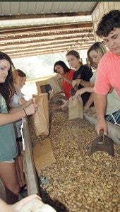 MESSENGER PHOTO/JAINE TREADWELL The Luverne High School Key Club volunteerd to help serve peanuts at the World’s Largets Peanut Boil Thursday.