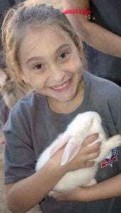 MESSENGER PHOTO/JAINE TREADWELL Of all the animals at Farm Day, Nikki Hopper like the rabbits the best because they were soft and cuddly.