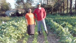 MESSENGER PHOTO/JAINE TREADWELL Robert Boyd and Sharon Gamble stand in Boyd’s crops that fill two acres will collard greens, turnip greens and green rutabaga tops. Gamble, left, helps Boyd gather the greens.